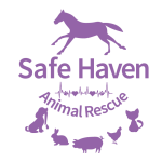 Safe Haven Animal Rescue Logo in Pink